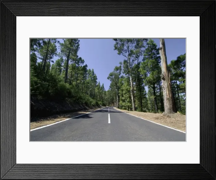 Framed Print : Spain, Canary Islands, Tenerife, Road to Mount Teide (Pico de Teide) Framed Print : Spain, Canary Islands, Tenerife, Road to Mount Teide (Pico de Teide)