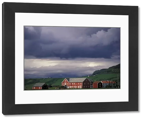 Norway, Orkanger, Trondheim area. Red farm buildings and storm coulds