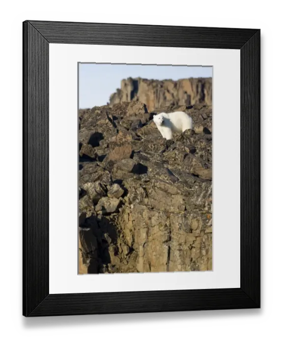 Framed Print : Europe, Norway