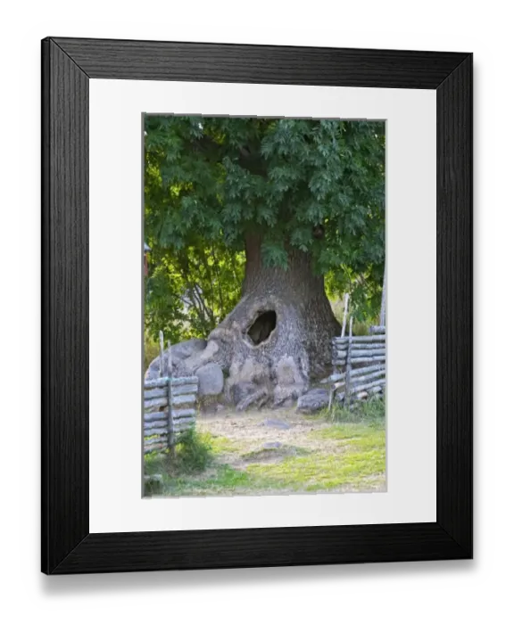 Framed Print : Europe, Sweden