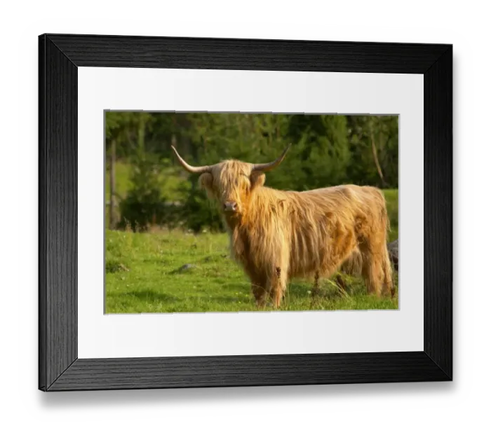 Framed Print : Europe, Sweden Framed Print : Europe, Sweden