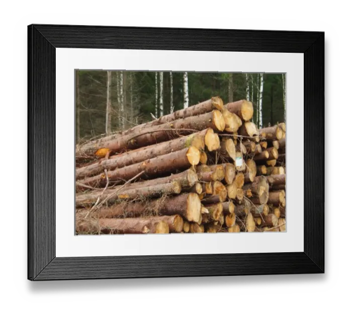 Framed Print : Europe, Sweden Framed Print : Europe, Sweden