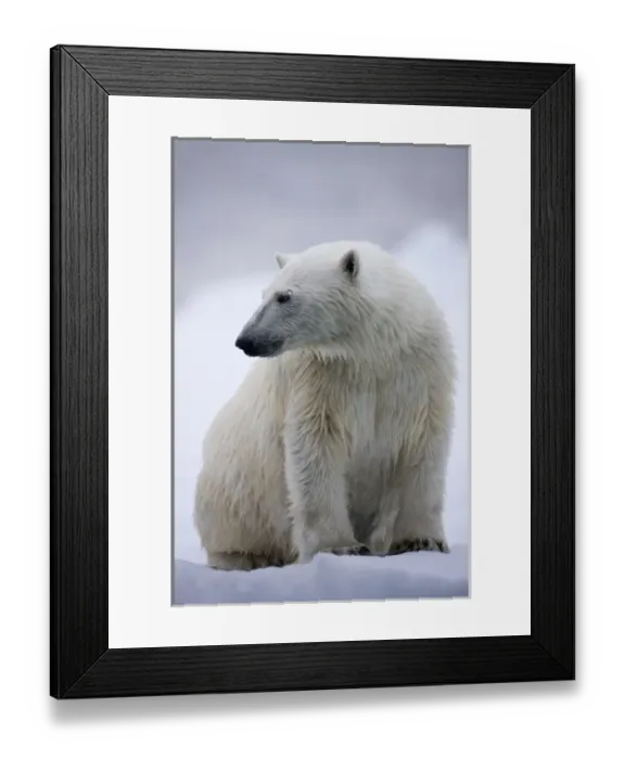 Framed Print : Europe, Norway Framed Print : Europe, Norway