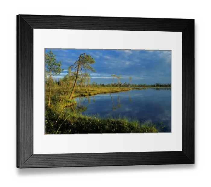 Framed Print : Moorland at sunset, Norway Framed Print : Moorland at sunset, Norway