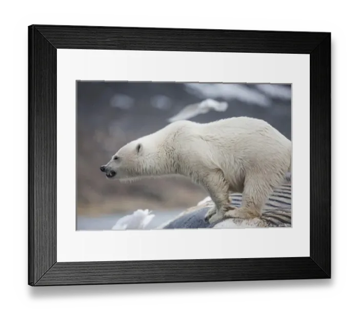Framed Print : Europe, Norway Framed Print : Europe, Norway