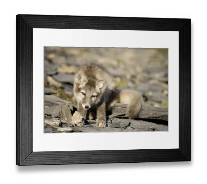 Framed Print : Europe, Norway Framed Print : Europe, Norway