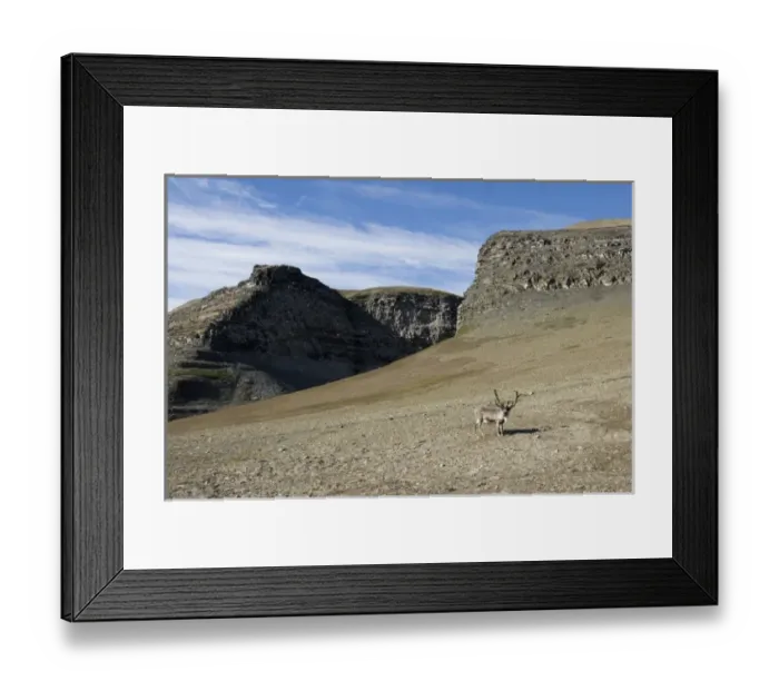 Framed Print : Europe, Norway Framed Print : Europe, Norway