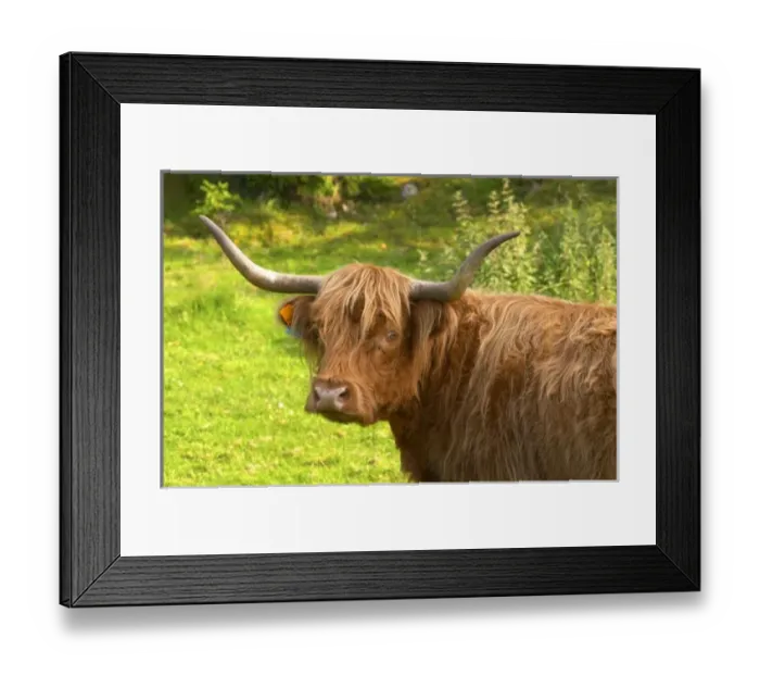Framed Print : Europe, Sweden