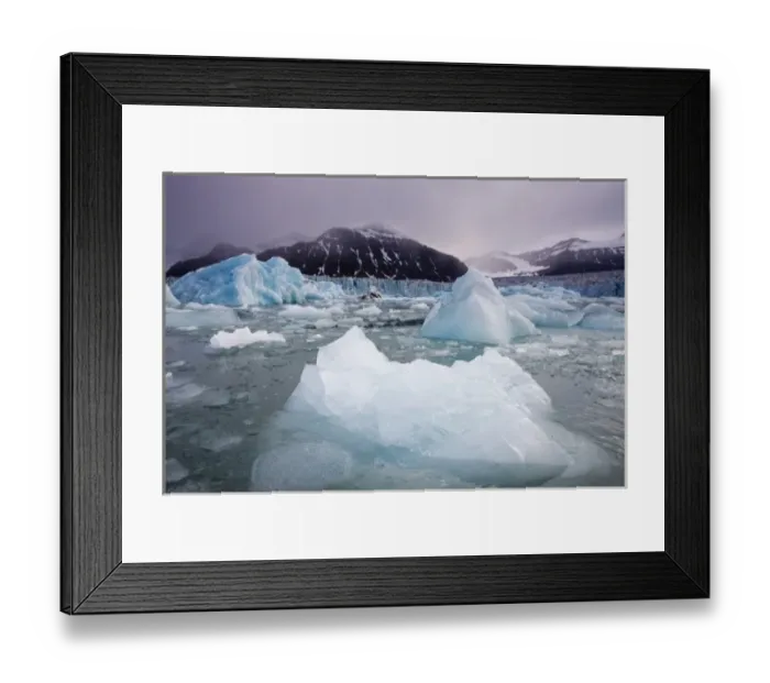 Framed Print : Norway, Svalbard, Spitsbergen Island, Deep blue icebergs floating near face of Sveabreen