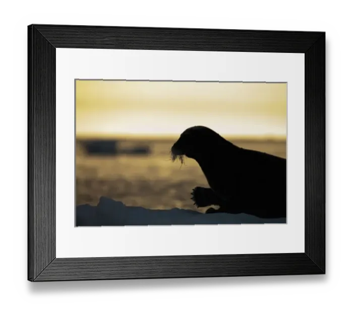 Framed Print : Europe, Norway Framed Print : Europe, Norway