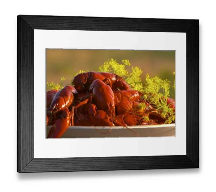 Framed Print : Big heap of traditional Swedish crayfish and dill on a plate against a nature background Framed Print : Big heap of traditional Swedish crayfish and dill on a plate against a nature background