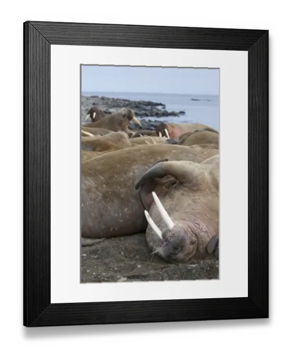 Framed Print : Europe, Norway Framed Print : Europe, Norway