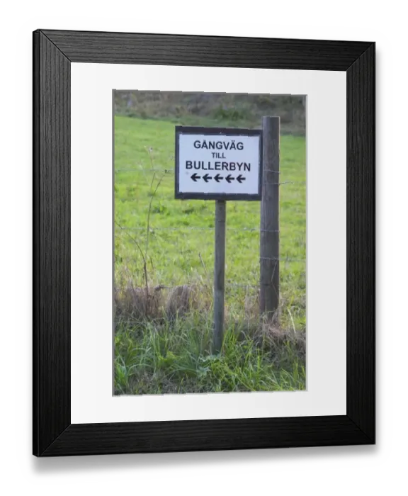 Framed Print : Europe, Sweden