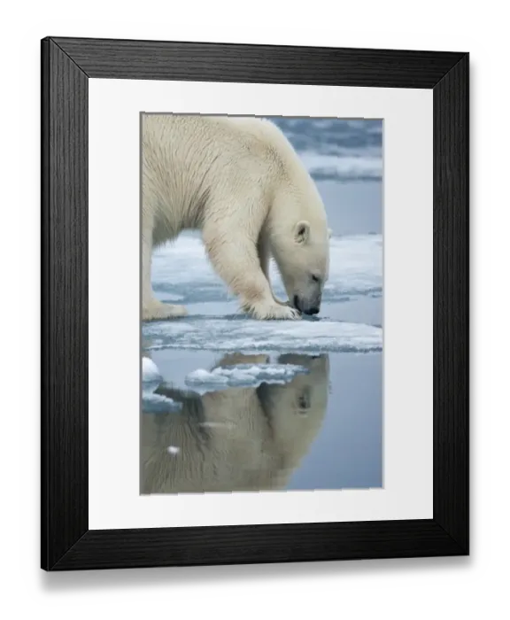 Framed Print : Europe, Norway Framed Print : Europe, Norway