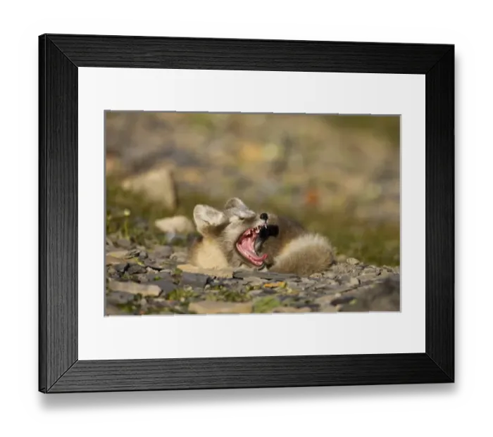 Framed Print : Europe, Norway Framed Print : Europe, Norway