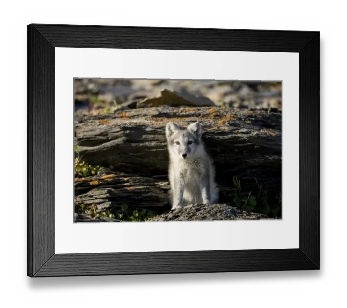 Framed Print : Europe, Norway Framed Print : Europe, Norway