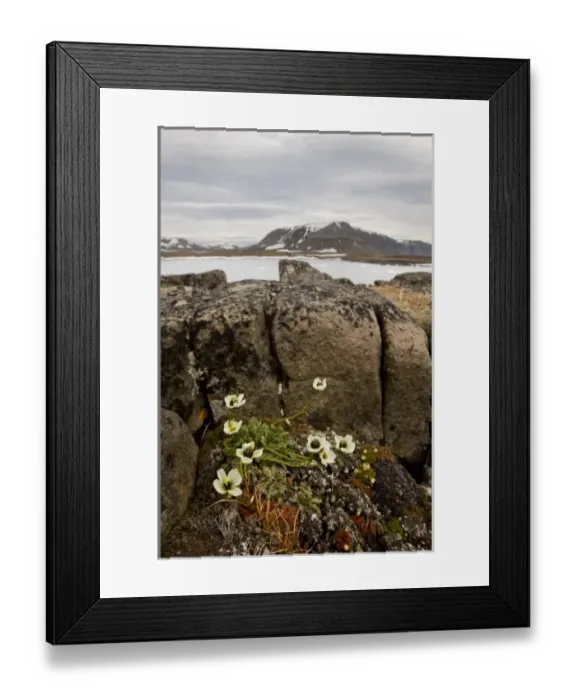 Framed Print : Europe, Norway Framed Print : Europe, Norway