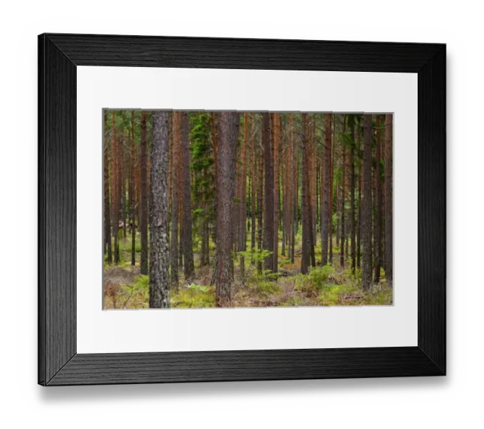 Framed Print : Europe, Sweden Framed Print : Europe, Sweden