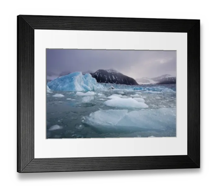 Framed Print : Norway, Svalbard, Spitsbergen Island, Deep blue icebergs floating near face of Sveabreen