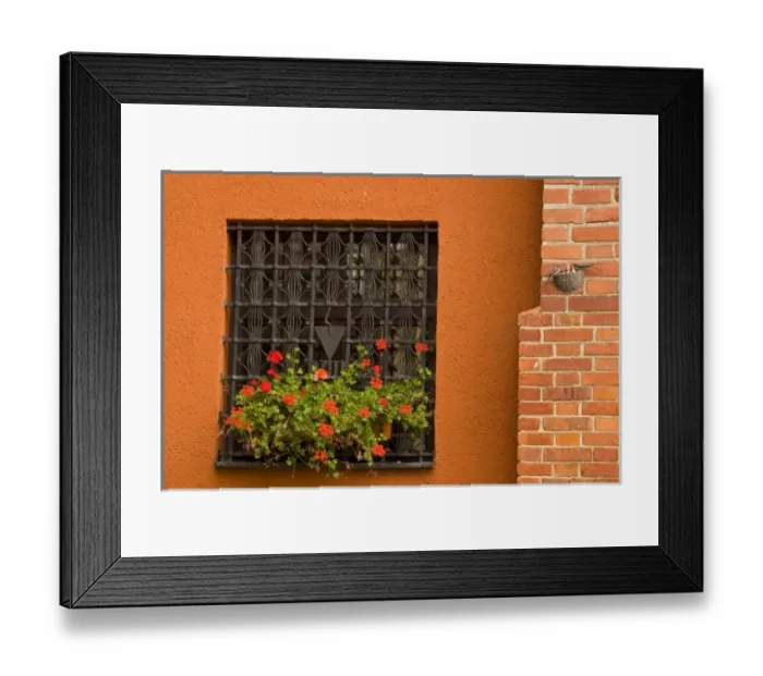 Framed Print : Poland, Gdansk. Detail of wrought iron window cover and flower box Framed Print : Poland, Gdansk. Detail of wrought iron window cover and flower box