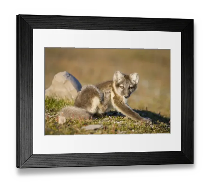 Framed Print : Europe, Norway Framed Print : Europe, Norway