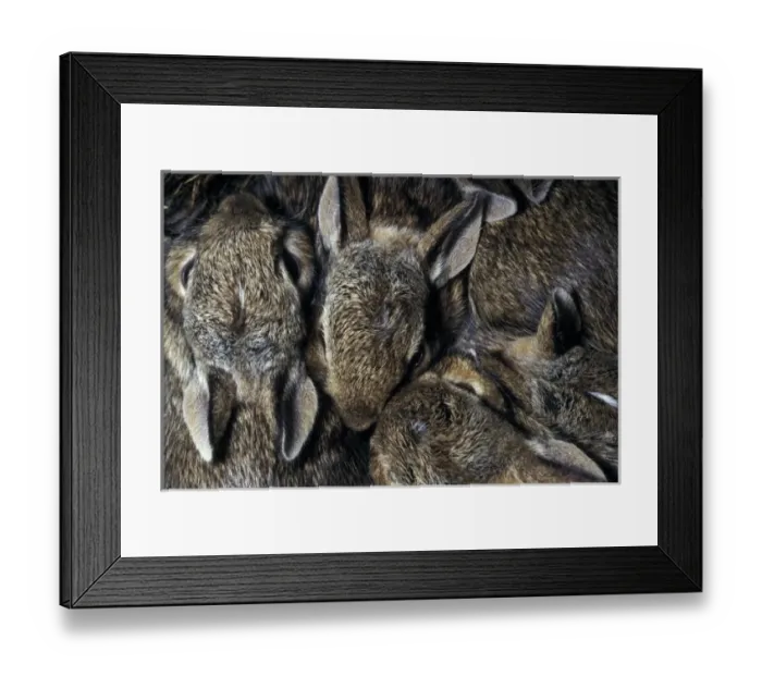 Framed Print : Europe, Norway Framed Print : Europe, Norway