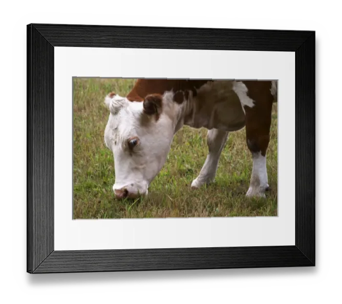 Framed Print : Europe, Sweden Framed Print : Europe, Sweden