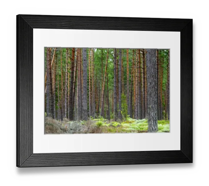 Framed Print : Europe, Sweden Framed Print : Europe, Sweden