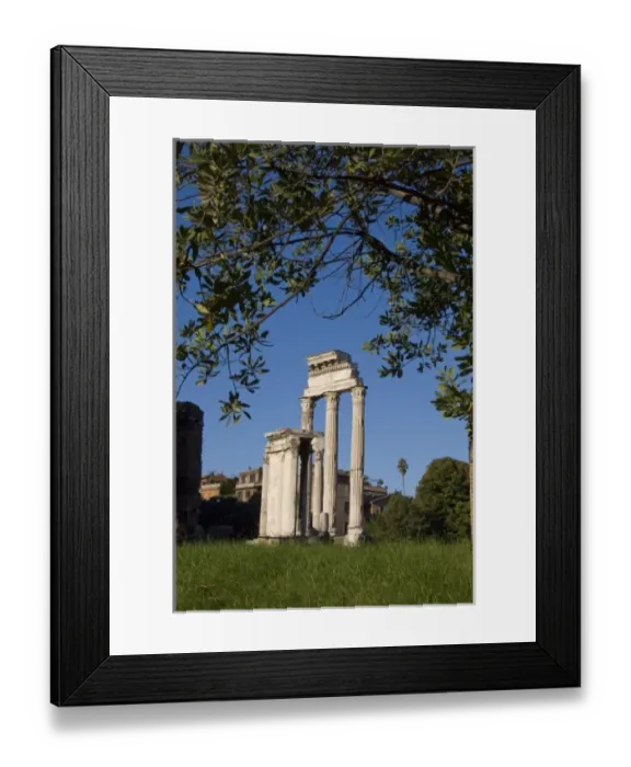 Framed Print : Italy, Rome. The Forum Framed Print : Italy, Rome. The Forum