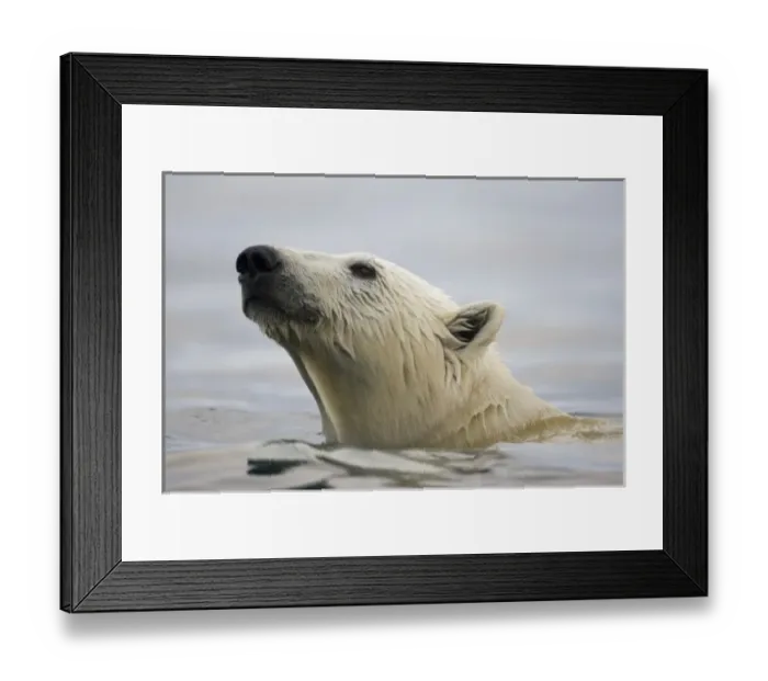 Framed Print : Europe, Norway Framed Print : Europe, Norway