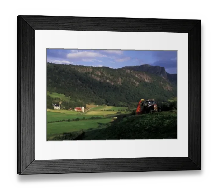 Framed Print : Europe, Norway, Dale. Farmer harvesting grass on steep slope Framed Print : Europe, Norway, Dale. Farmer harvesting grass on steep slope