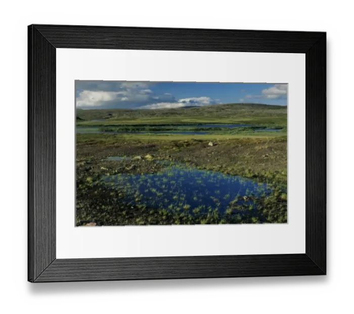 Framed Print : Tundra, Gednjehogda, Varanger Fjord, Norway Framed Print : Tundra, Gednjehogda, Varanger Fjord, Norway