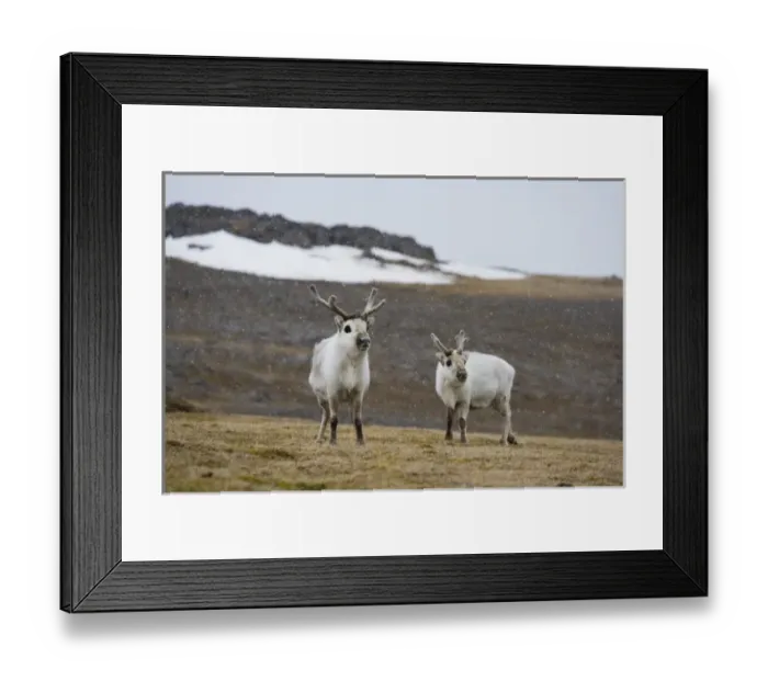 Framed Print : Europe, Norway Framed Print : Europe, Norway