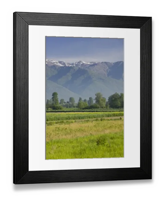 Framed Print : Europe, Italy Framed Print : Europe, Italy