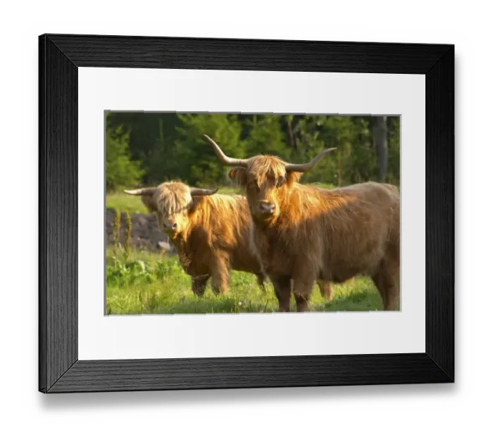 Framed Print : Europe, Sweden