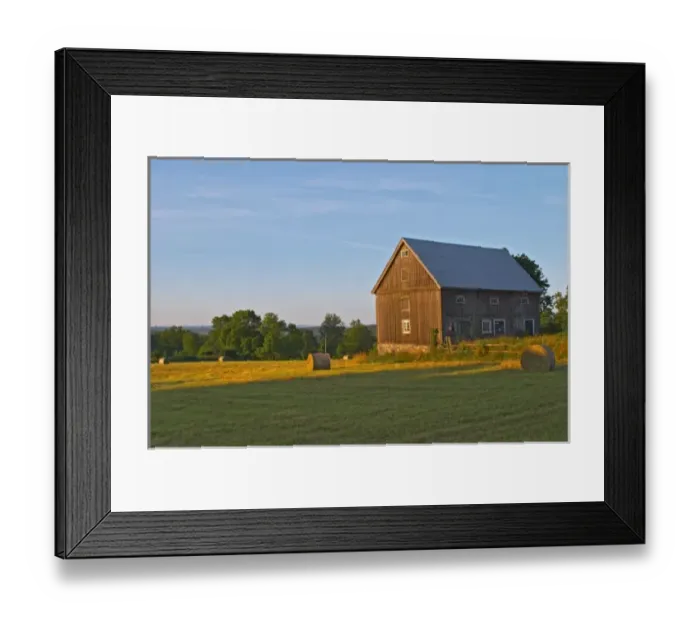 Framed Print : Cut field with hay bales at sunrise. Old farm house barn. Traditional style Swedish