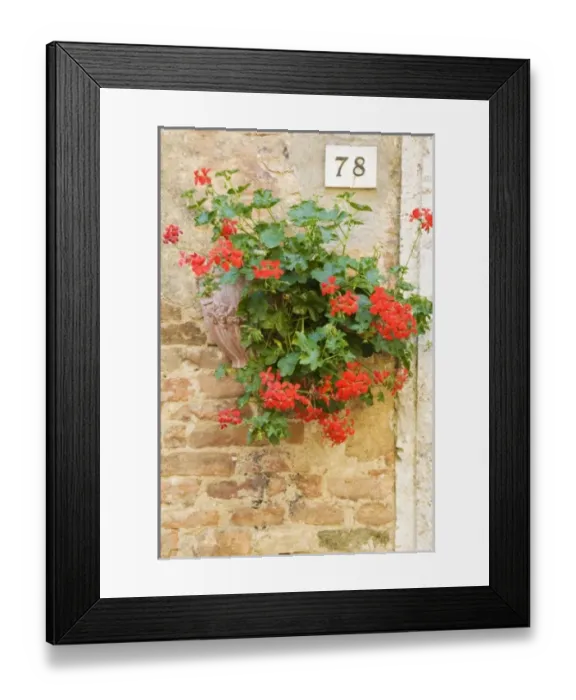 Framed Print : Europe, Italy Framed Print : Europe, Italy