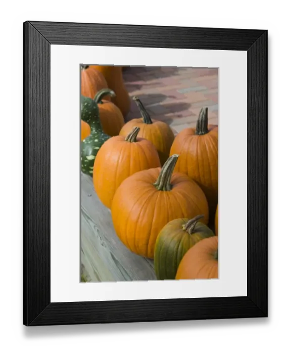 Framed Print : USA, Michigan, Lake Michigan Shore, Leelanau County, Glen Harbor: Pumpkins / Autumn Framed Print : USA, Michigan, Lake Michigan Shore, Leelanau County, Glen Harbor: Pumpkins / Autumn