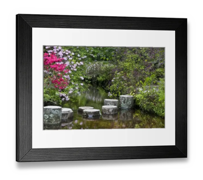 Framed Print : USA, Maine, Northeast Harbor. Stone steps in water in Asticou Azalea Gardens Framed Print : USA, Maine, Northeast Harbor. Stone steps in water in Asticou Azalea Gardens