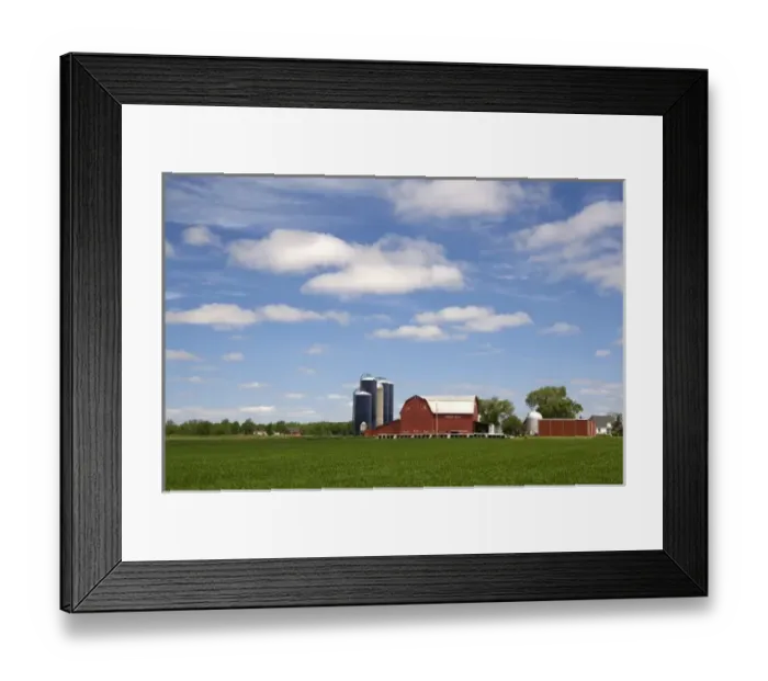 Framed Print : Farm surrounded by green unripe wheat at St. Louis, Michigan. PR