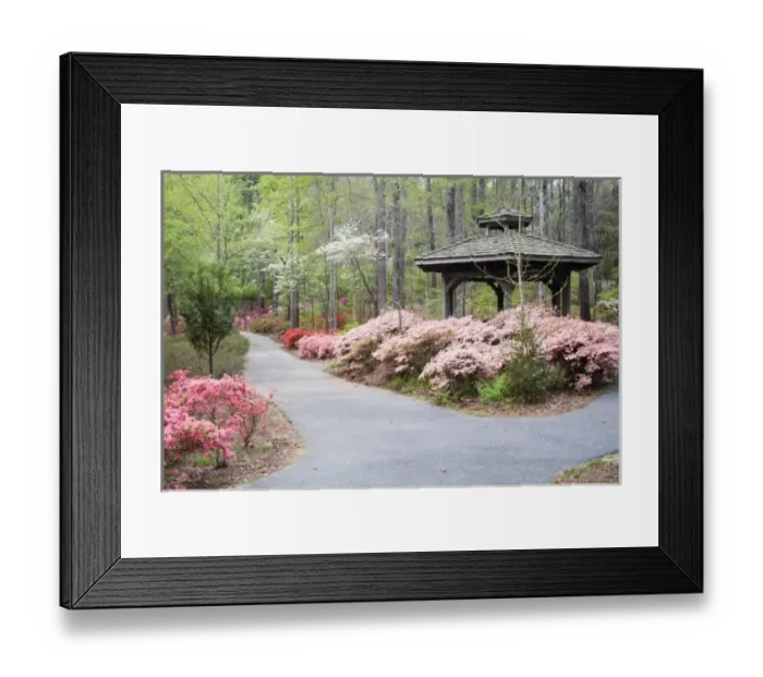 Framed Print : USA, North America, Georgia Framed Print : USA, North America, Georgia
