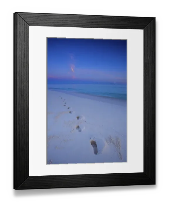 Framed Print : North America, Northwestern Hawaiian Islands, Midway Atoll. Footprints on a sandy beach Framed Print : North America, Northwestern Hawaiian Islands, Midway Atoll. Footprints on a sandy beach