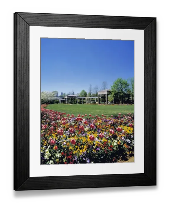 Framed Print : USA, Georgia, Atlanta. Visitors enjoy the beautiful flowers at the Botannical Gardens in Atlanta Framed Print : USA, Georgia, Atlanta. Visitors enjoy the beautiful flowers at the Botannical Gardens in Atlanta