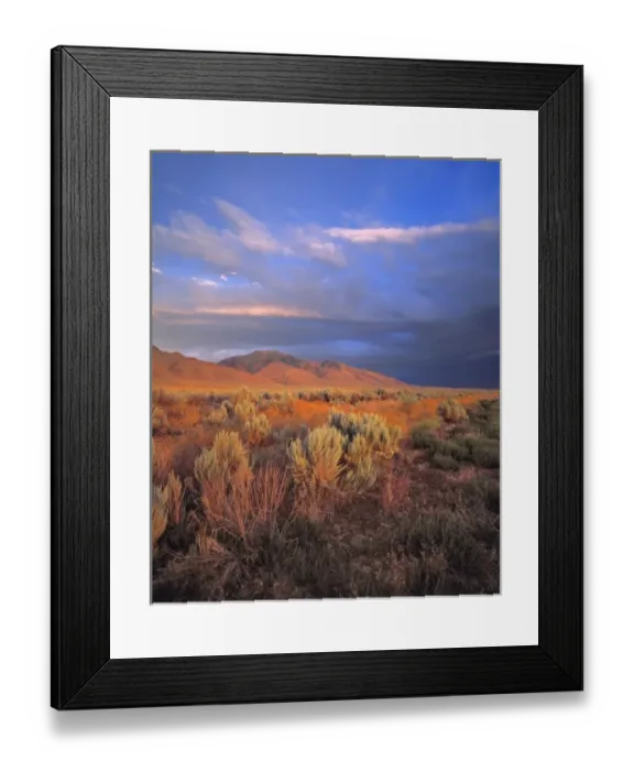 Framed Print : USA, Nevada, Denio. Sunset light colors the sagebrush and the hillsides in the Nevada desert