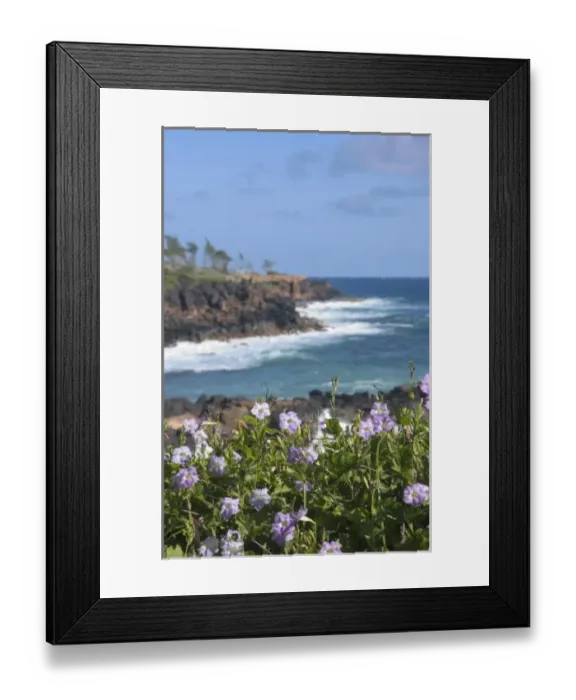 Framed Print : USA, Hawaii, Kauai, near Kapaa, northwest coast Framed Print : USA, Hawaii, Kauai, near Kapaa, northwest coast