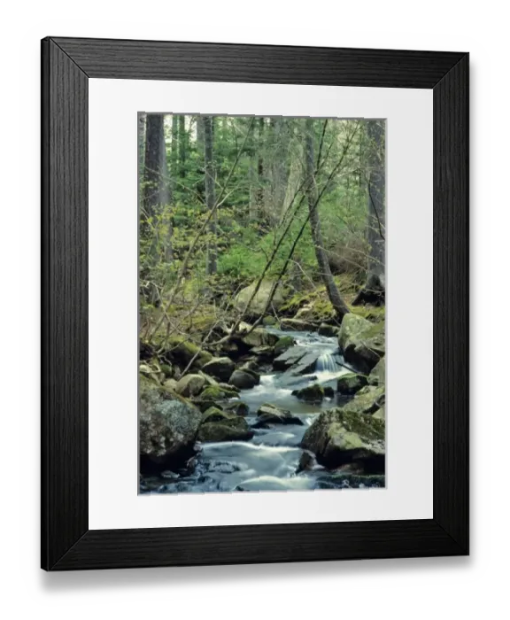 Framed Print : USA, North America, Maine Framed Print : USA, North America, Maine