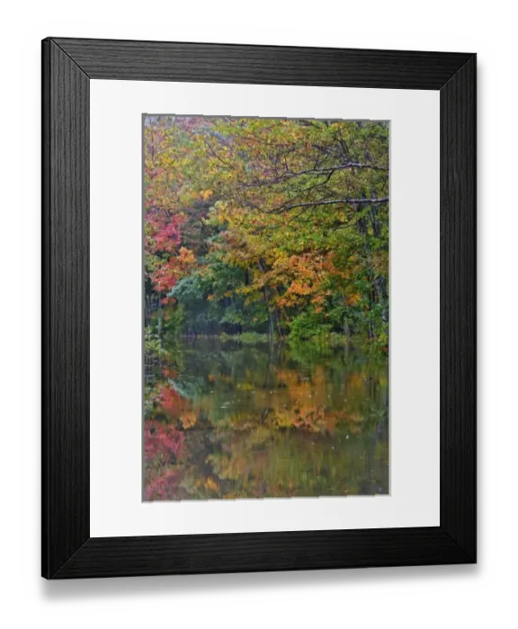 Framed Print : USA, North America, Maine Framed Print : USA, North America, Maine