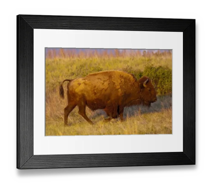 Framed Print : USA, North America, Montana Framed Print : USA, North America, Montana