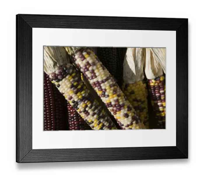 Framed Print : USA, North America, Massachusetts