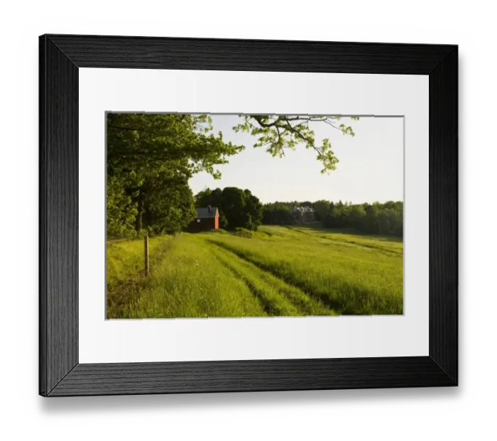 Framed Print : A field and barn at Tufts School of Vet Medicine. Grafton, Massachusetts